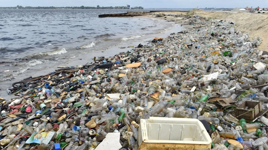 ocean and land pollution